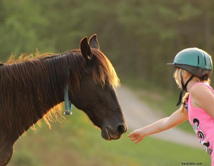 Triple R Ranch Outfitters – Premier Horseback Adventure & Outdoor Experience in Kentucky