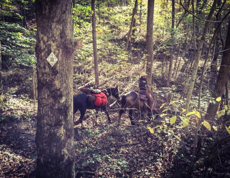 Triple R Ranch Outfitters – Premier Horseback Adventure & Outdoor Experience in Kentucky