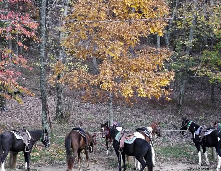 Triple R Ranch Outfitters – Premier Horseback Adventure & Outdoor Experience in Kentucky