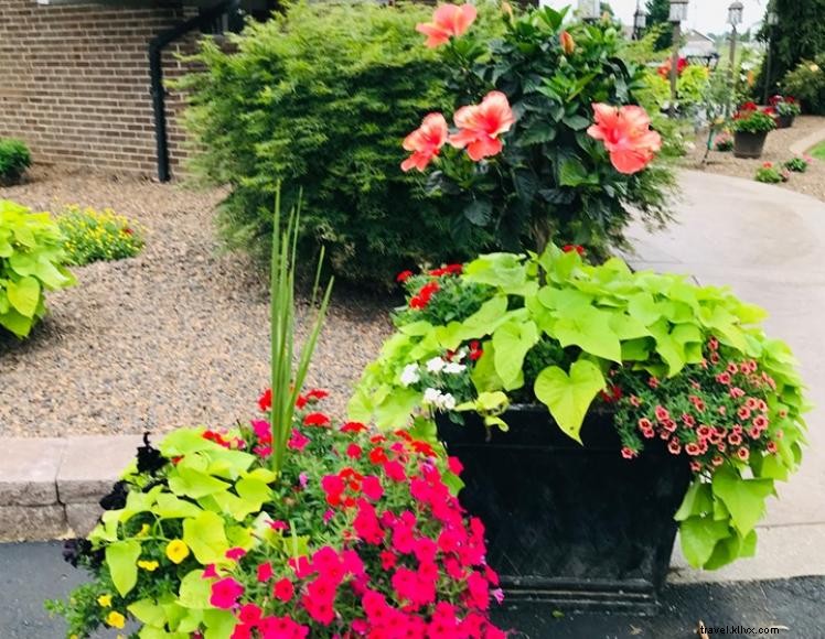 The Cornelia Suite – Luxury Retreat at Swan s Landing