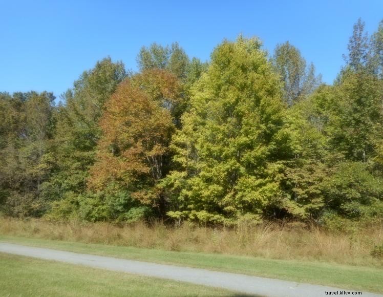 The Treehouse at Stoner Creek B&B – A Serene Riverside Retreat