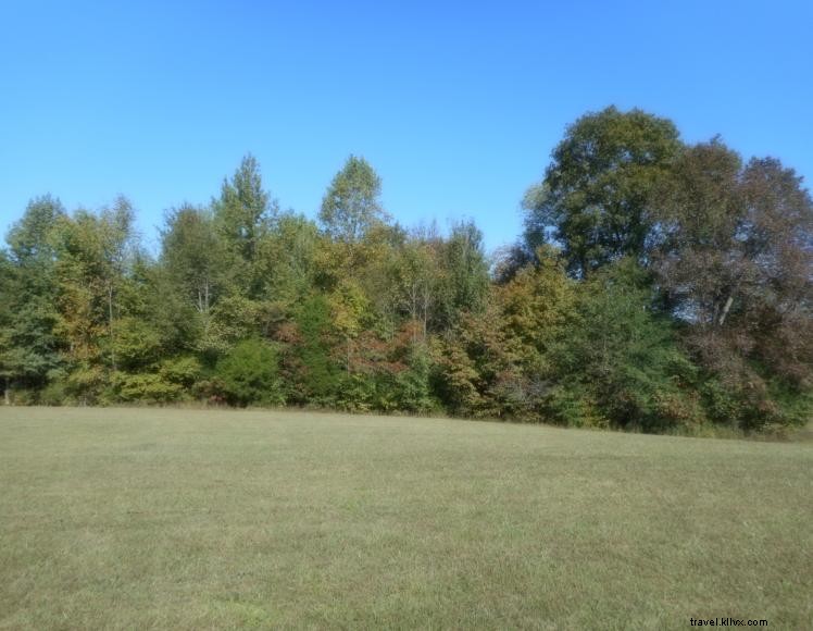 The Treehouse at Stoner Creek B&B – A Serene Riverside Retreat