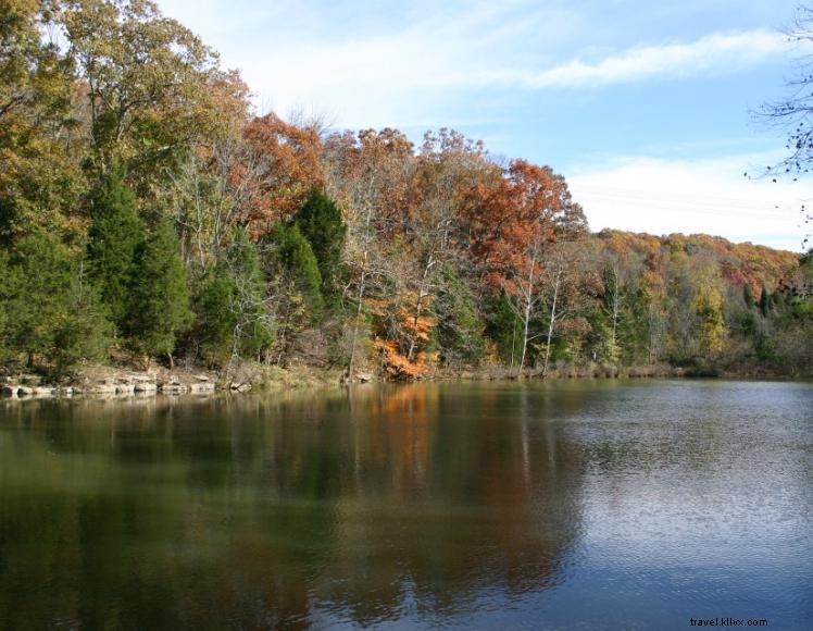 Wren’s Nest Bed & Breakfast – Serene Woodland Retreat in Logan County, KY