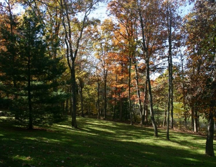 Wren’s Nest Bed & Breakfast – Serene Woodland Retreat in Logan County, KY