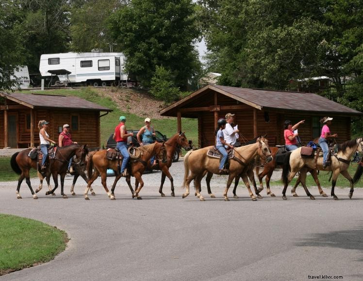 Wranglers Equestrian Campground: Premier Horse‑Friendly Retreat on Land Between the Lakes