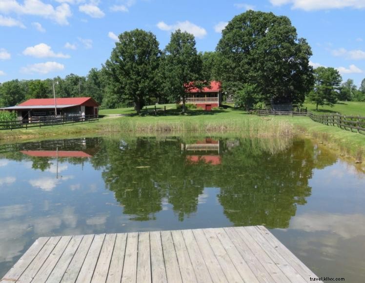 Bluegill Cabin – Your Serene Country Getaway with Private Pond