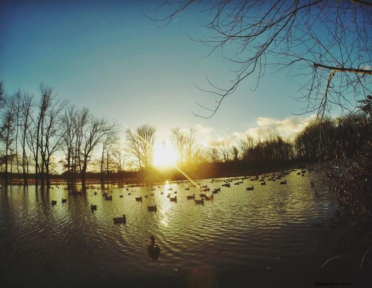 Waldon Hunting Lodge – Private Corporate Retreat for Hunters & Fishermen