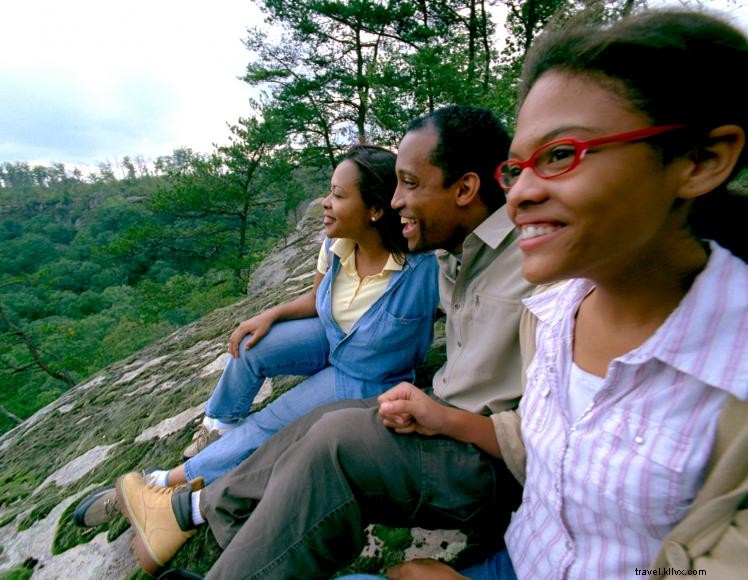 Wisdom Resort & Marina – Houseboat & Cabin Rentals in Albany, KY