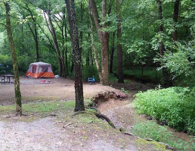 Wilson Creek Recreation Area – 5‑Site Primitive Campground in Green River Lake WMA