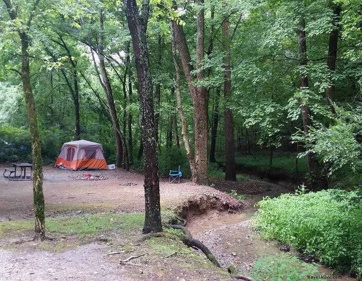 Wilson Creek Recreation Area – 5‑Site Primitive Campground in Green River Lake WMA