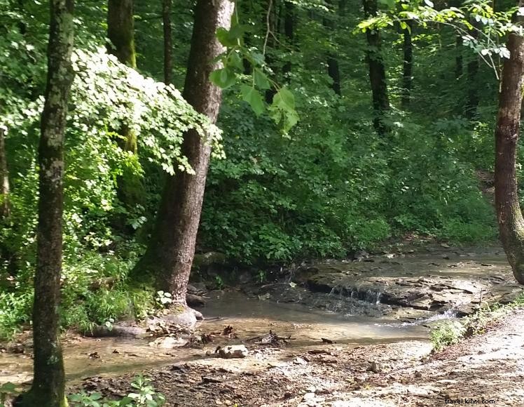 Wilson Creek Recreation Area – 5‑Site Primitive Campground in Green River Lake WMA