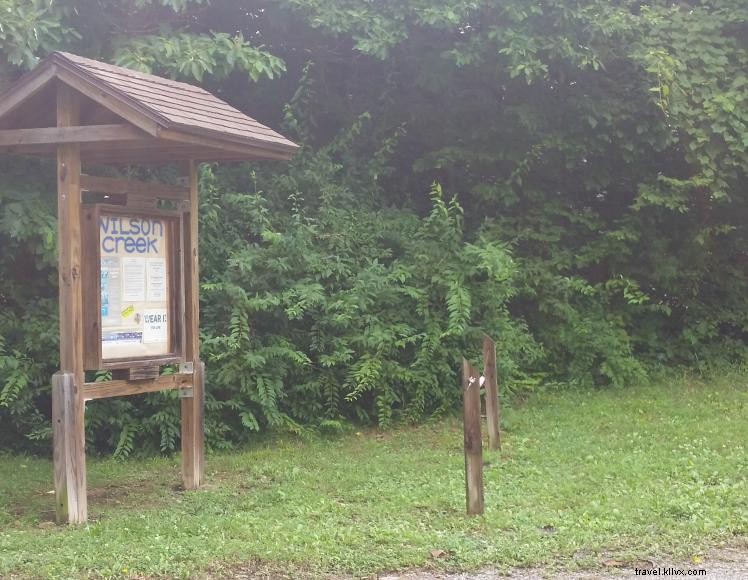 Wilson Creek Recreation Area – 5‑Site Primitive Campground in Green River Lake WMA