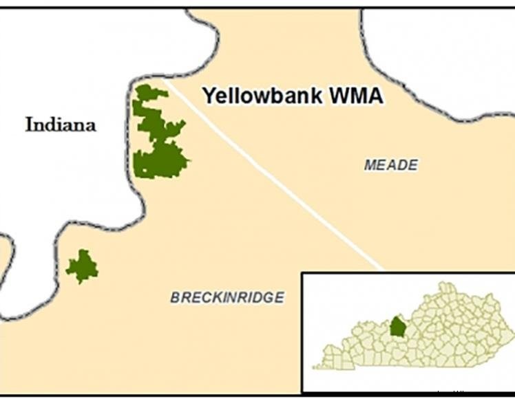 Yellowbank Wildlife Management Area – Scenic Outdoor Recreation in Hardin County, KY