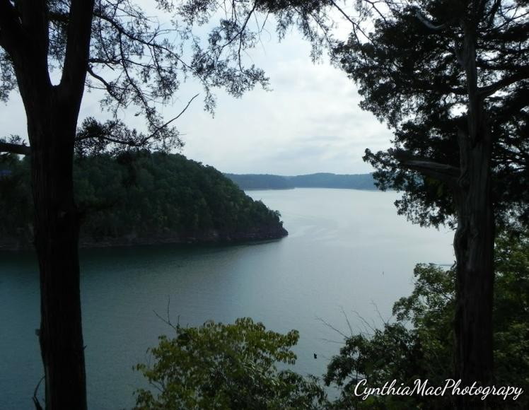 Luxury Condo 65-3 at Woodson Bend Resort – Golf Course & Lake Cumberland Views