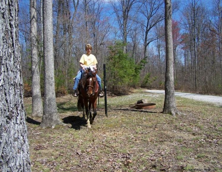 Barren Fork Horse Camp – Premium Horse‑Friendly Camping in Daniel Boone National Forest