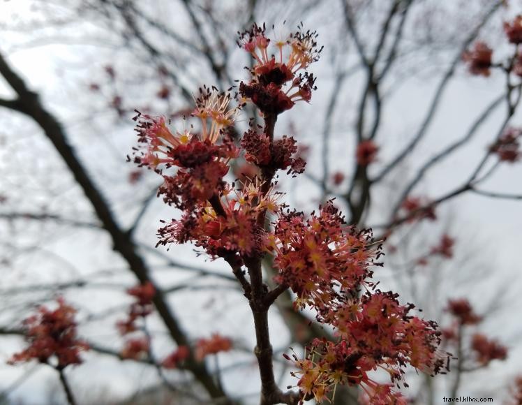 Budget Inn Express – Comfortable Stay in Paintsville, KY