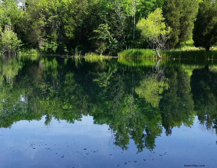 Backwood Acres B&B – Secluded Cabin Retreat in Sparta, KY