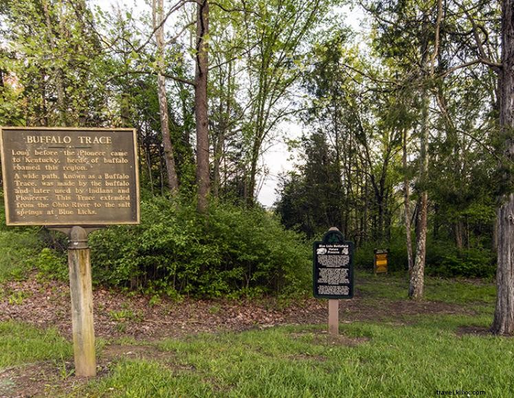 Blue Licks Battlefield State Resort Park – History, Lodging, and Outdoor Adventures