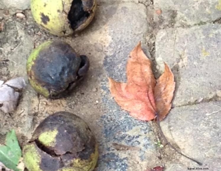 Bennett House Bed & Breakfast – Historic Romanesque Charm in Richmond, KY