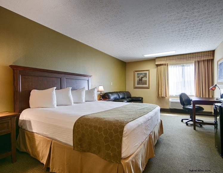 BEST WESTERN Shelbyville Lodge – Award‑Winning Comfort in the Saddlebred Capital