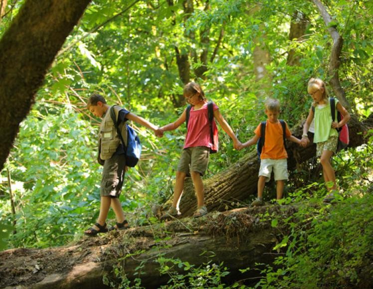 Explore Breaks Interstate Park: Trails, Lodging, & Adventure in the Virginia Appalachians