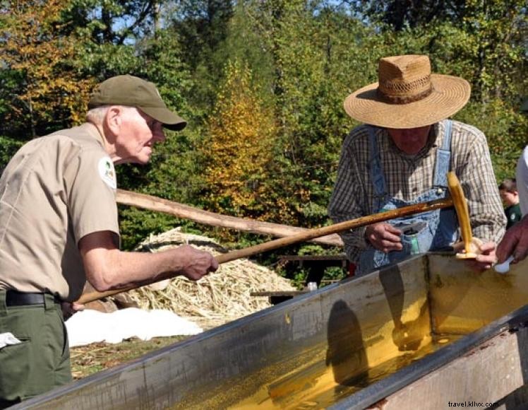 Explore Breaks Interstate Park: Trails, Lodging, & Adventure in the Virginia Appalachians