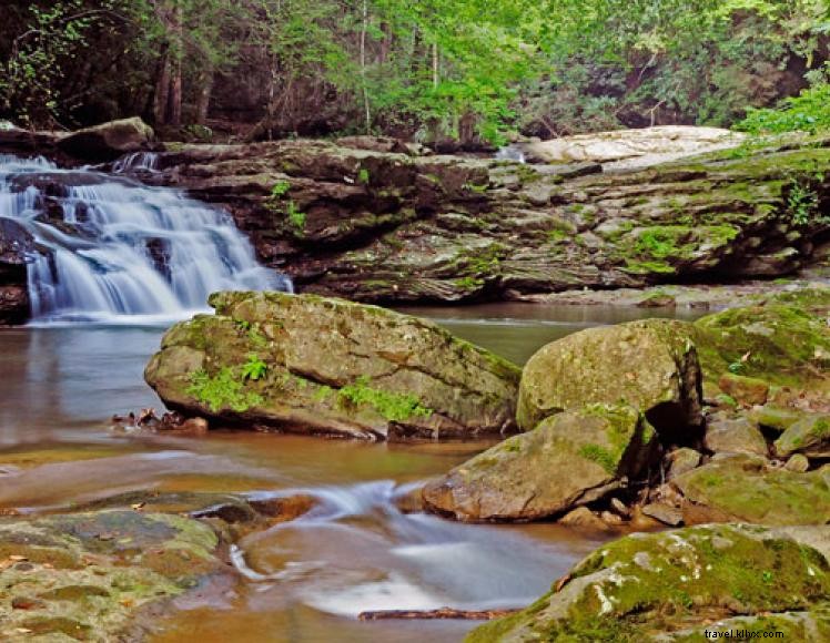 Explore Breaks Interstate Park: Trails, Lodging, & Adventure in the Virginia Appalachians