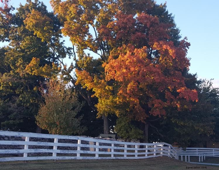 Baymont Inn & Suites London – Comfortable Stay in Kentucky