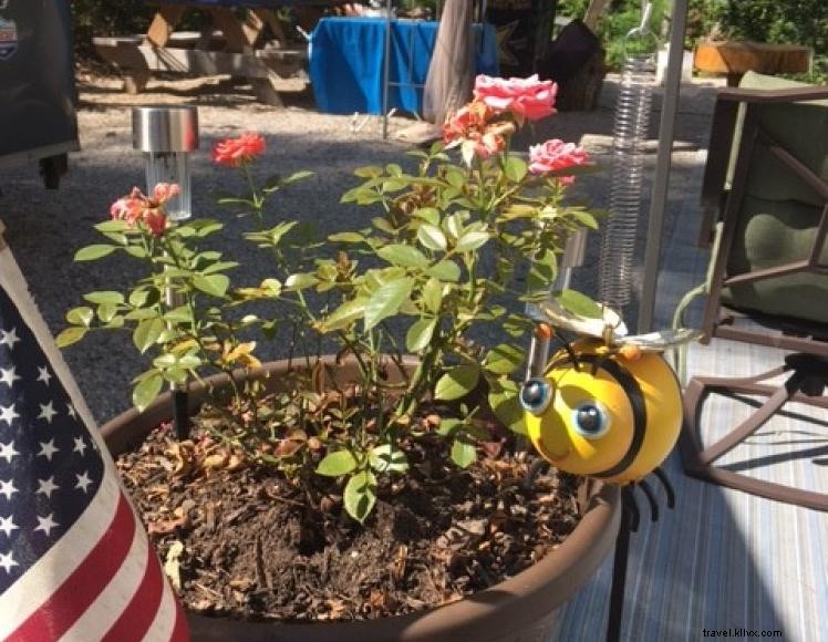 Bee Creek RV Campground – Family‑Owned Long‑Term Camping in Corbin, KY