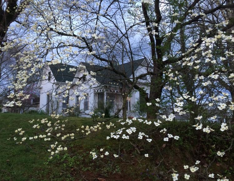 Black Mountain Cabins – Secluded Getaway in Evarts, KY