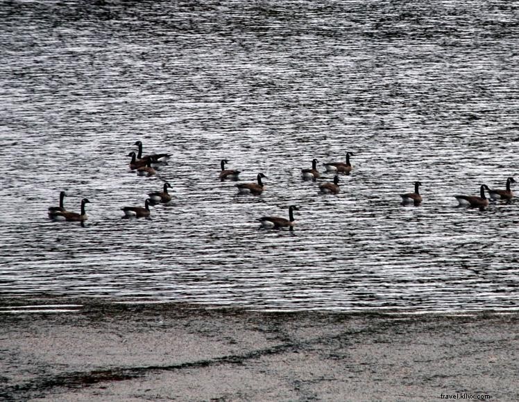 Clear Creek Campground – 21 Improved Sites with Accessible Ramp in Salt Lick, KY