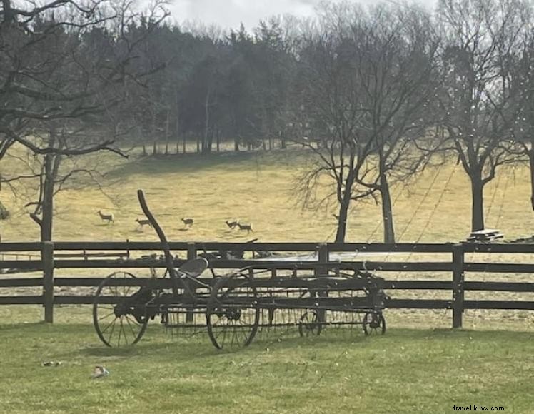 Rustic Farmhouse Cabin Retreat on Airbnb
