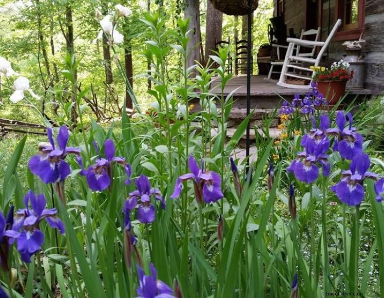 Captain’s Cabin Bed & Breakfast – Rustic Luxury & Culinary Experiences in Louisville, KY