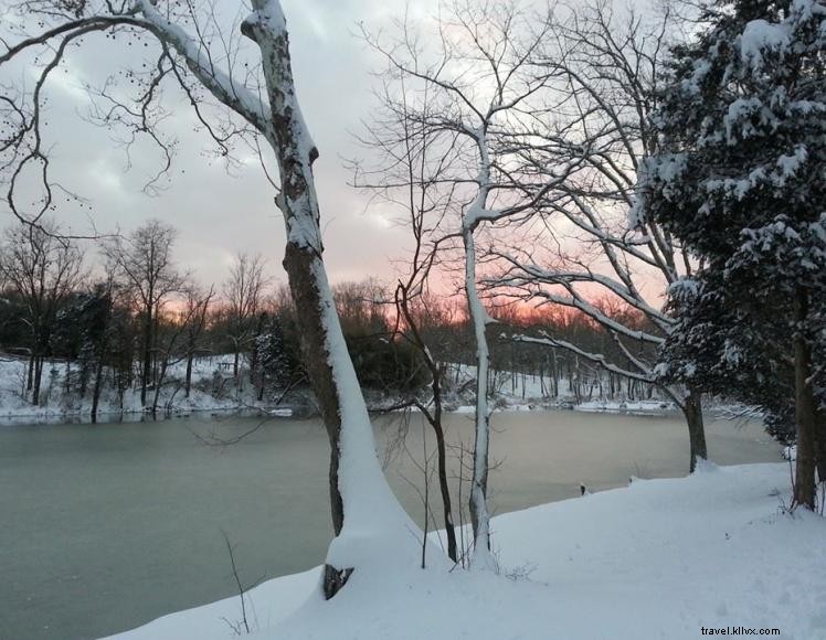 Captain’s Cabin Bed & Breakfast – Rustic Luxury & Culinary Experiences in Louisville, KY