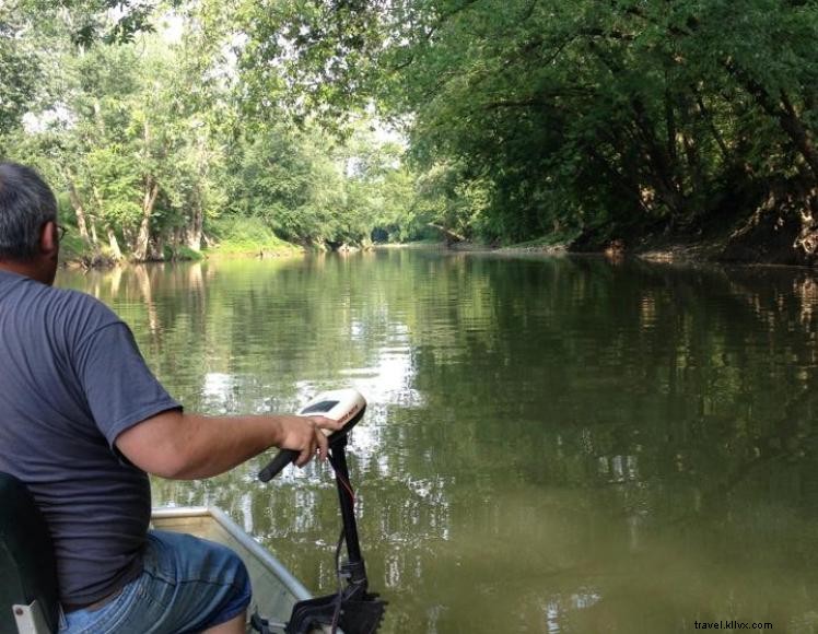 Explore Clay Wildlife Management Area – 8,953 Acres of Kentucky Wilderness