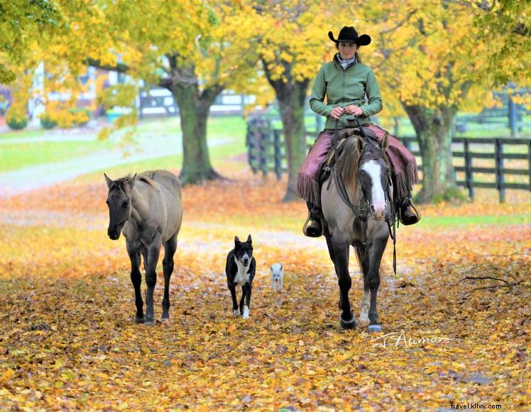 Cerulean Farm Bed & Breakfast – Historic Horse Farm on Kentucky Bourbon Trail