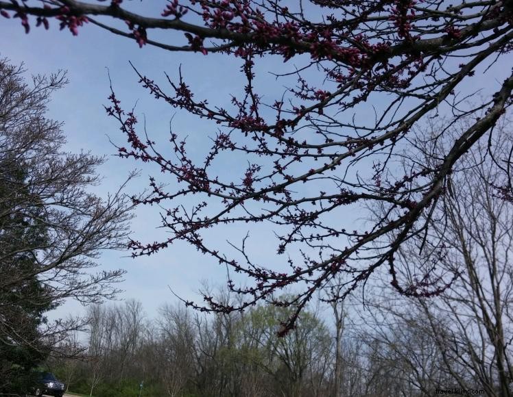 Cumberland Manor B&B – Historic Elegance in Middlesboro, KY