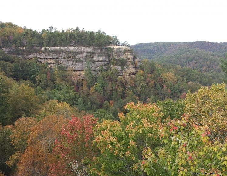 Comfort Inn & Suites – Your Home Base on Athens‑Boonesboro Rd, Lexington, KY