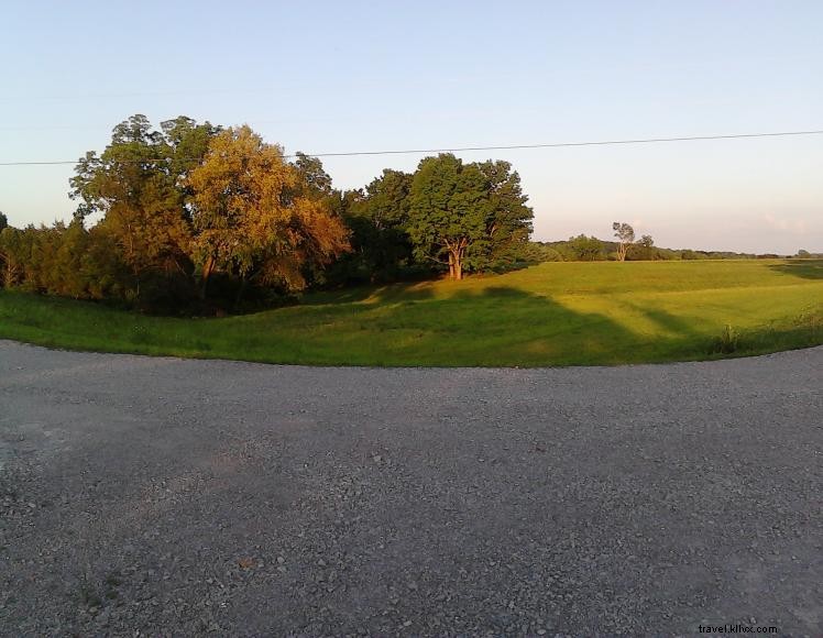 Cedars RV Park – Family‑Friendly Full Hook‑Up Campground in Campbellsville, KY