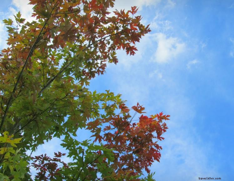 Country Charm Historic Farm Bed & Breakfast – A Charming Kentucky Retreat