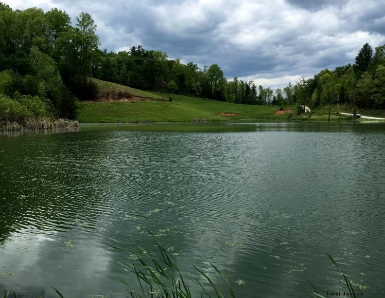 Pay Lake: A Premier Catfish Destination in Campton, KY