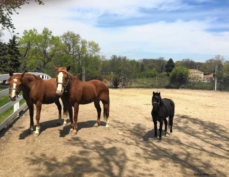 Double J Riding Stables & Horseman s Camp – Guided Trail Rides in Mammoth Cave National Park