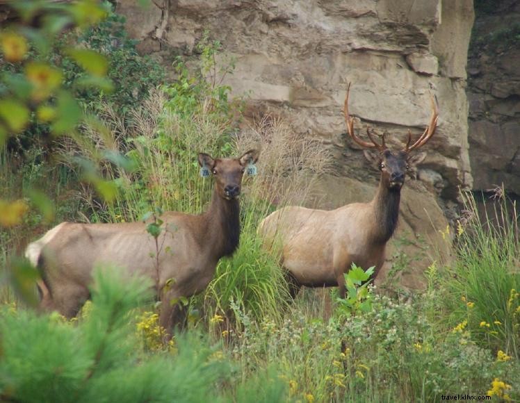 Days Inn Paintsville – 72 Rooms, Pool, Free Breakfast & Wi‑Fi