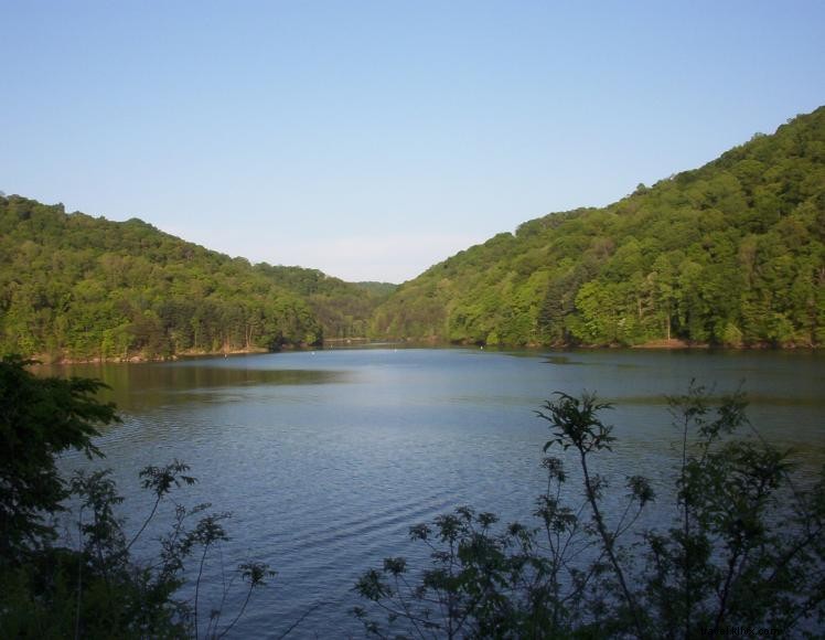 Explore Dewey Lake – Premier Destination at Jenny Wiley State Resort Park