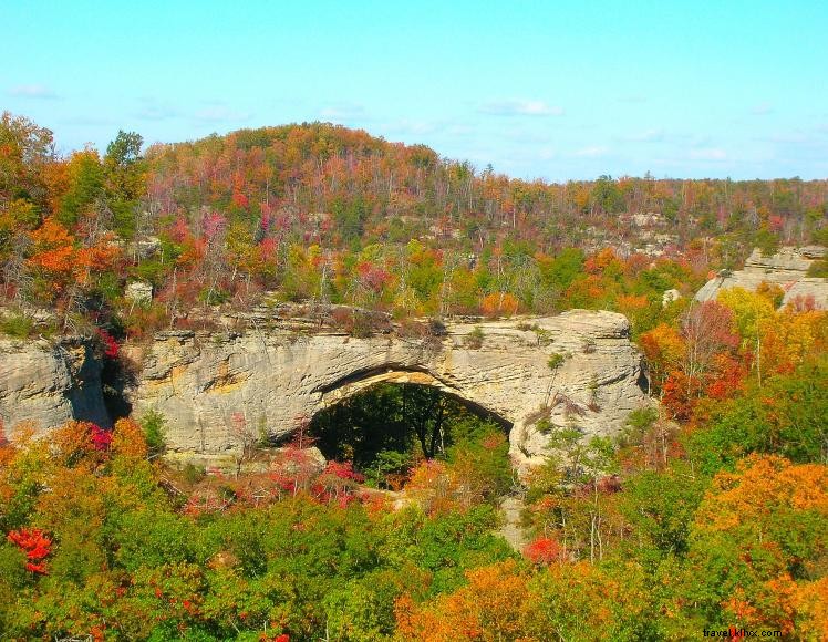 Explore the Wilderness: Daniel Boone National Forest’s Stearns Ranger District