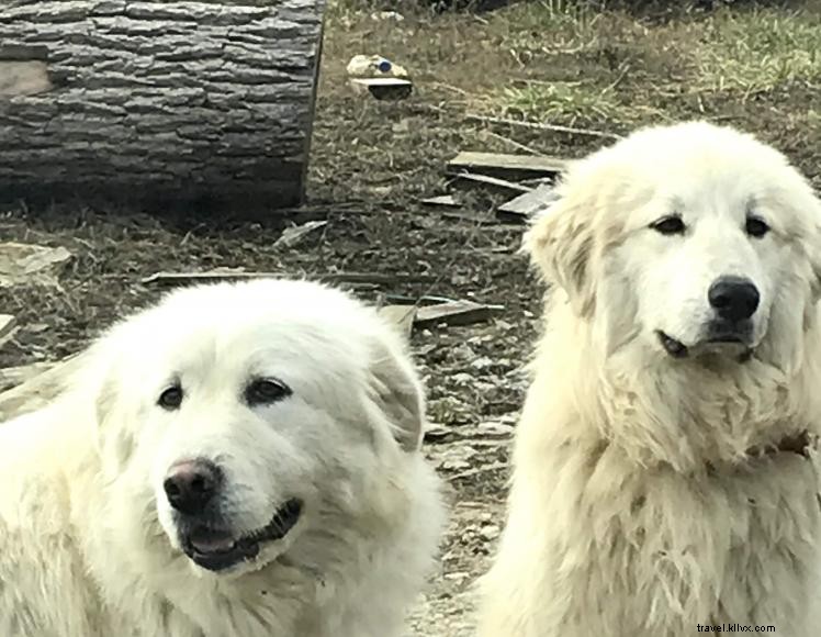 England s Retreat: A Tranquil Escape in Mount Vernon, KY