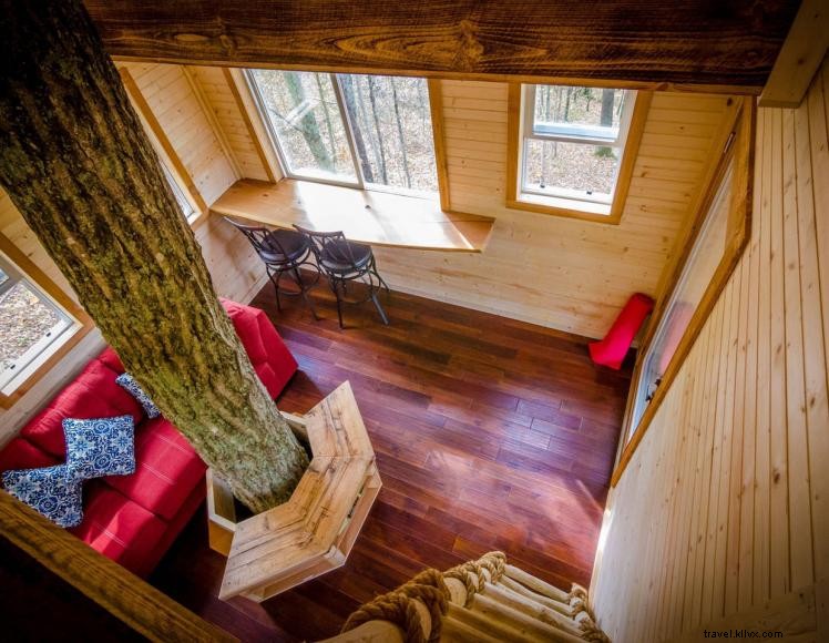 Explore the Three Sister Trees: Guided Rope‑Climbing Adventure at EarthJOY Park