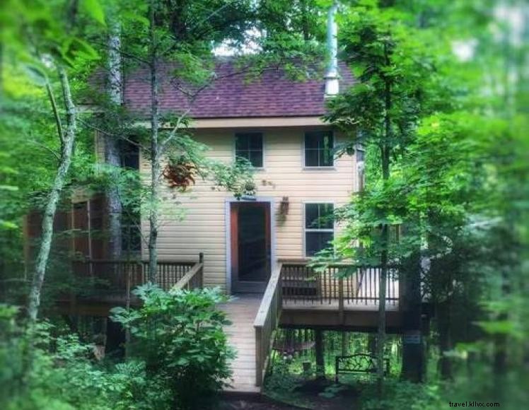 Explore the Three Sister Trees: Guided Rope‑Climbing Adventure at EarthJOY Park