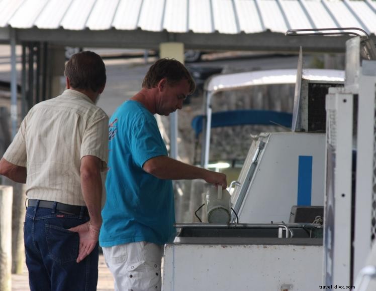 Emerald Isle Resort & Marina – Luxury Condos & Full‑Service Marina on Green River Lake