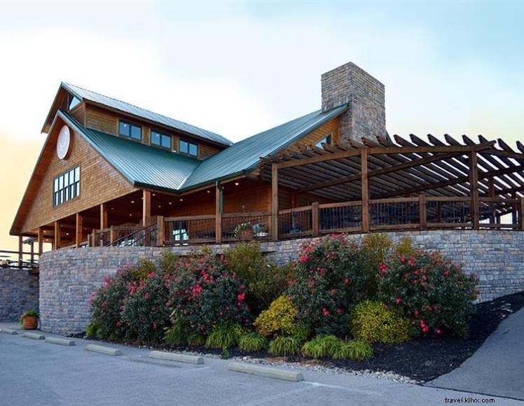 Elk Creek Vineyards – Award‑Winning Wines & B&B in Kentucky s Golden Triangle